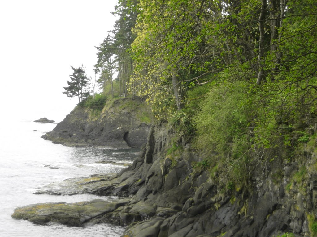 Salt Creek Shoreline by chow508