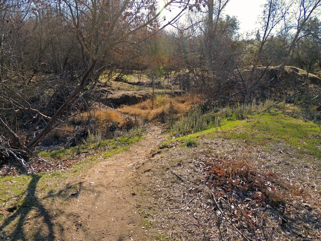 Winding Path, Dry Creek by Steve Schmorleitz, NationalParkLover.com