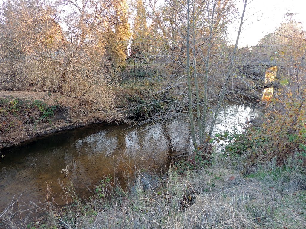 Dry Creek, Roseville, CA by Steve Schmorleitz, NationalParkLover.com