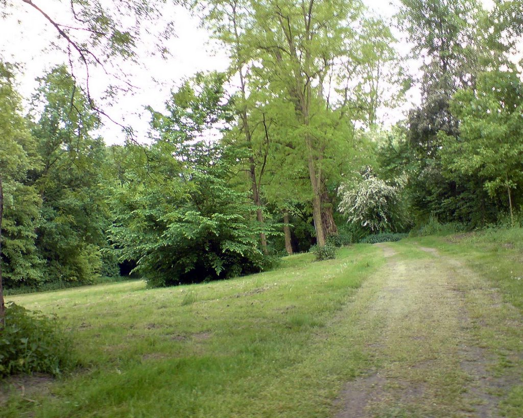 Köln-Rodenkirchen. Park nähe Festungsring by marhelle