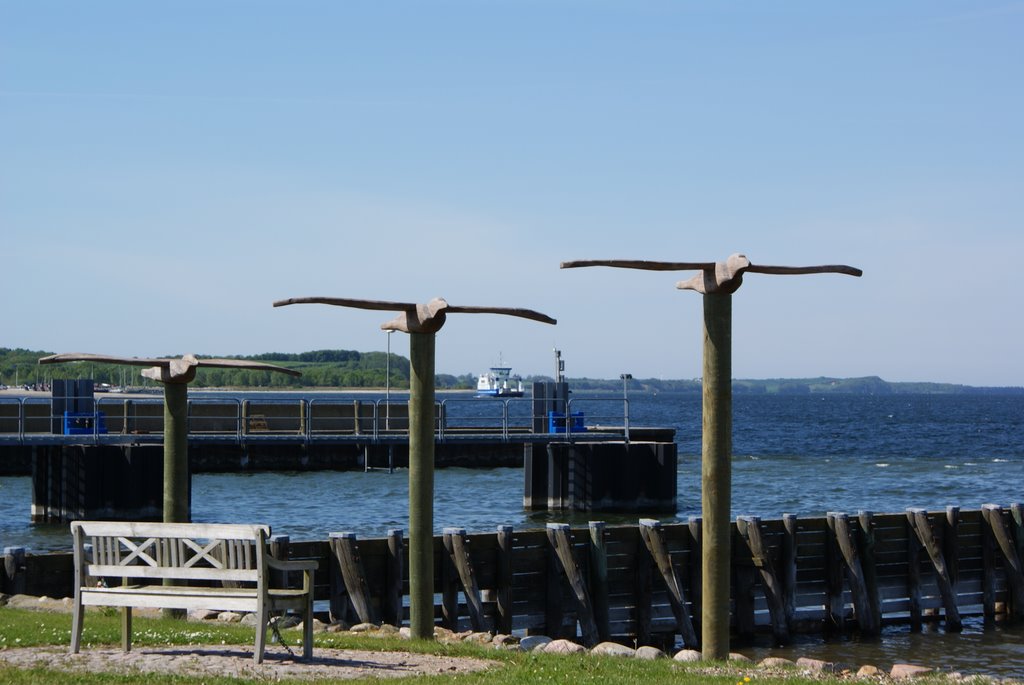 Hvalpsund måger ved havn by Triis