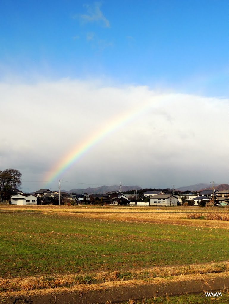 Rainbow / 太子の虹（姫路市） by mandegan