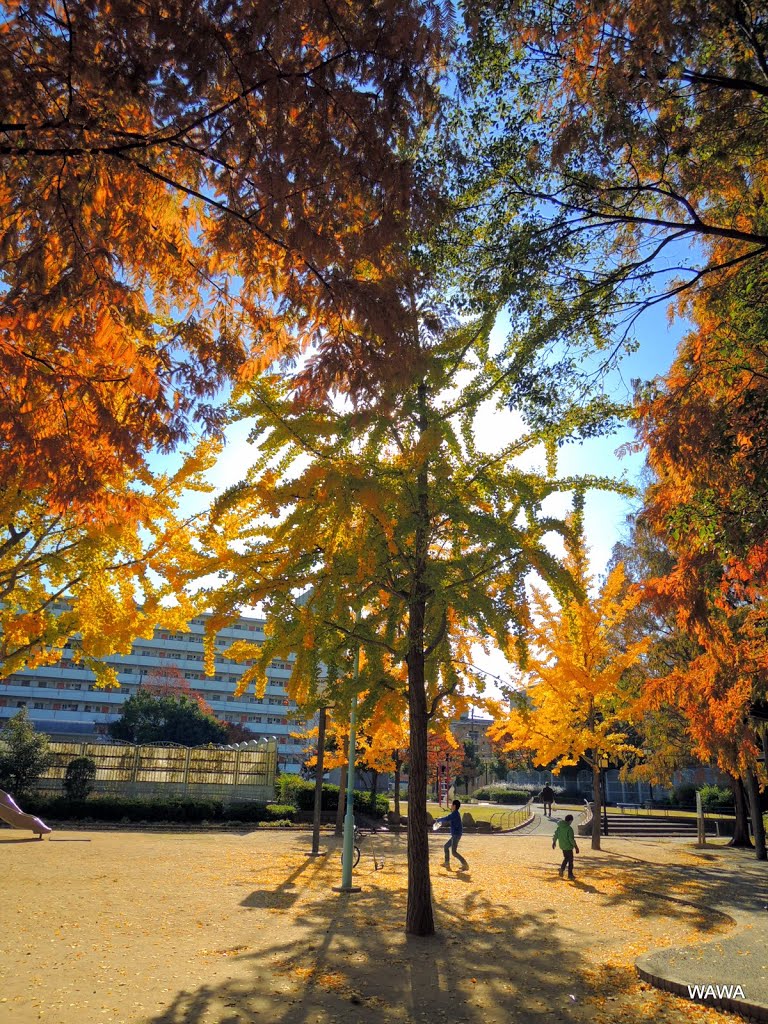 Asahi Park, Osaka / 旭公園（大阪市旭区） by mandegan