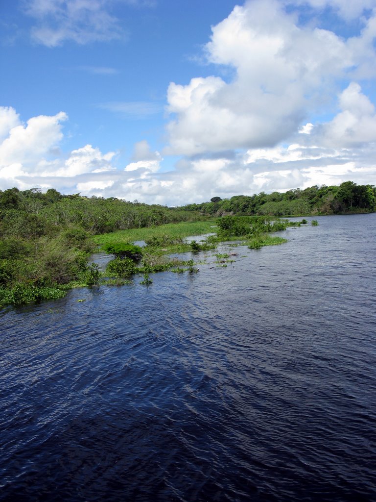 Rio Negro1 by Peter van der Sleen