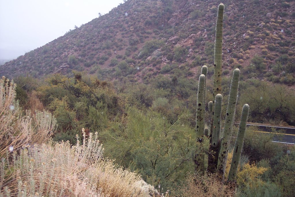 Tonto National Forest-AR-Tonto National Monument by cheets99