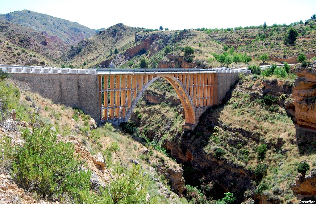 Hinojares: Puente sobre el río Turrillas by Rosaflor