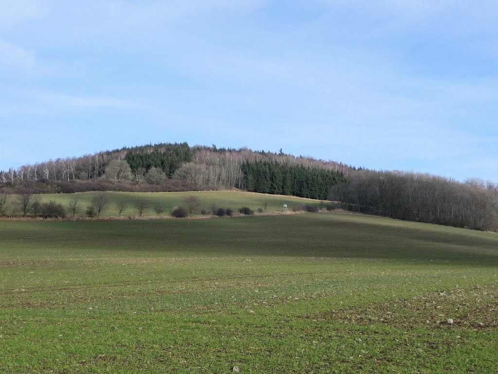 Spitzberg bei Oderwitz aus Südsüdwestlicher Richtung im Januar 2014! by von-Biedenfeld