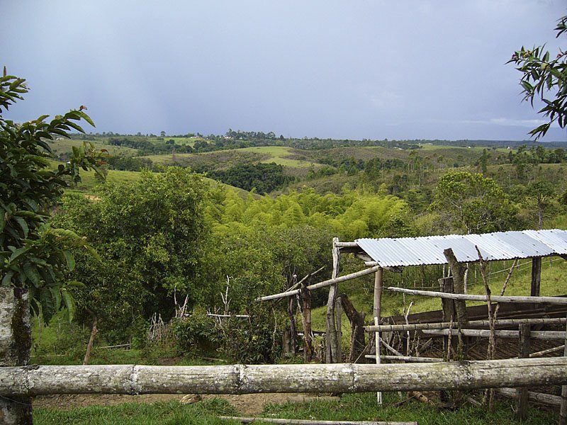 Camino de la finca by rodveils