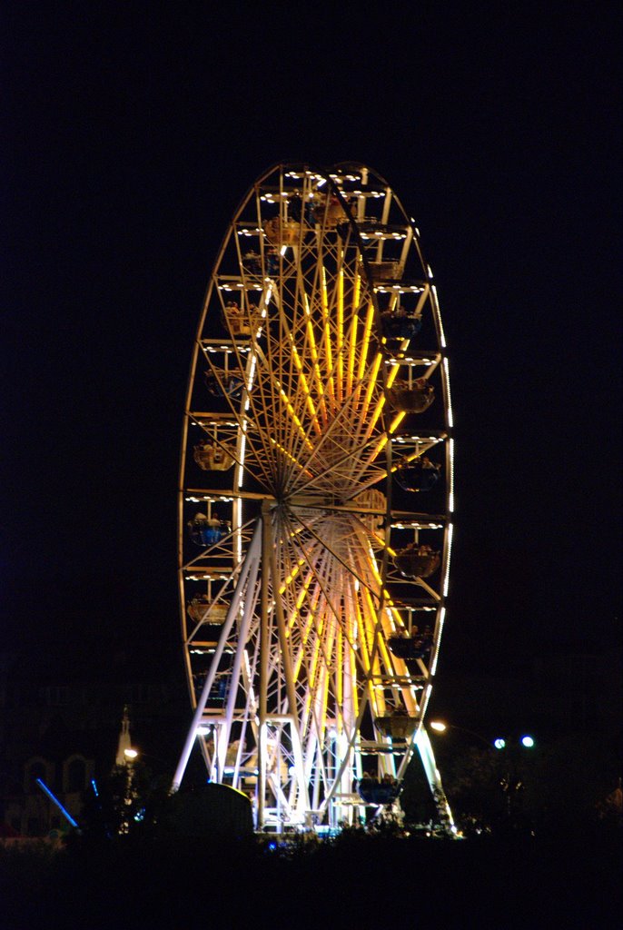 Hafengeburtstag: Riesenrad by wluut