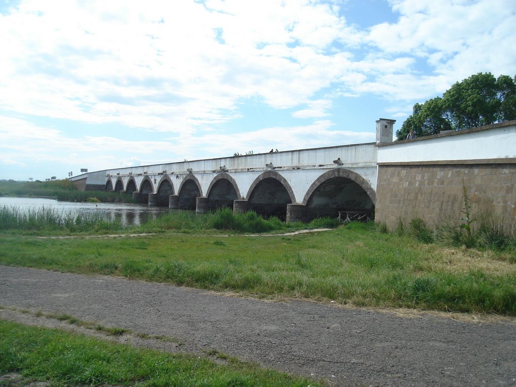 A Kilenclyukú híd by Monori Csaba