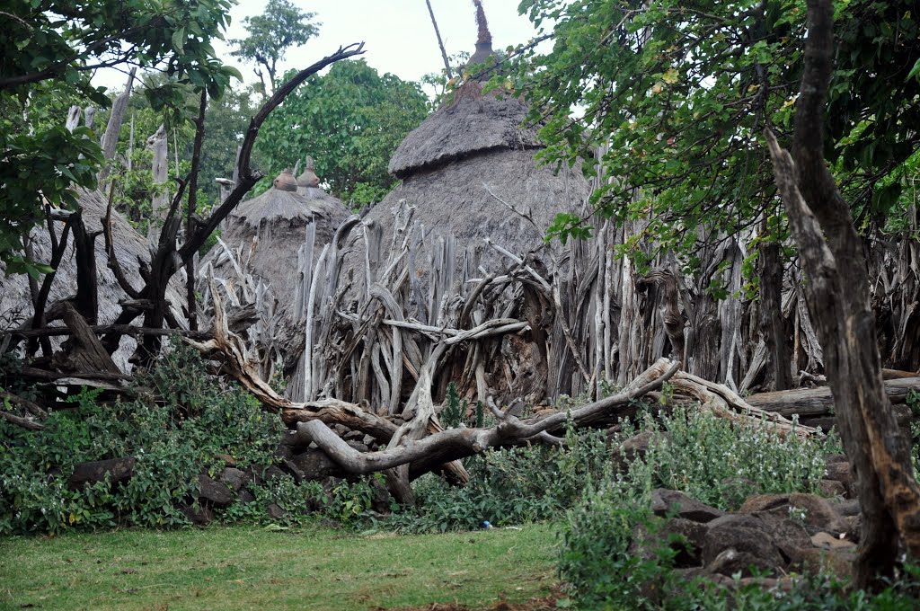 Ethiopia, Karat-Konso, Konso King palace by stefanoabdou