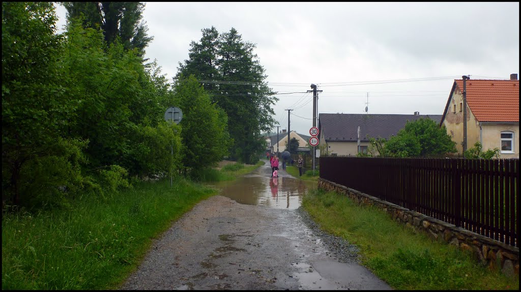 2 Rozvodněný Radnický potok, červen 2013 by martinacorn