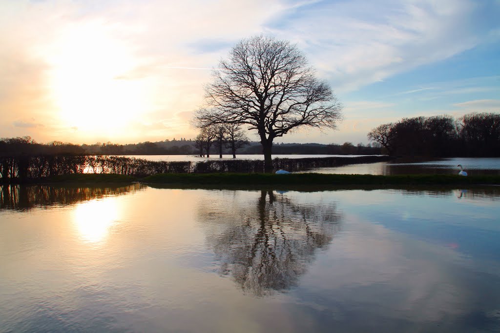 Cobham's 'Caribbean Sea' by Nick Knack