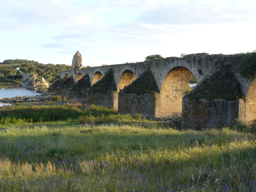 Ponte da Ajuda by João Afonso