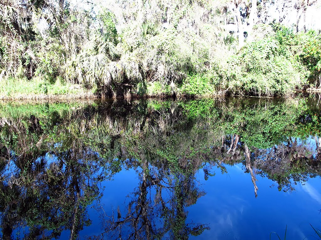 Turkey Creek Reflections by Tom Choma