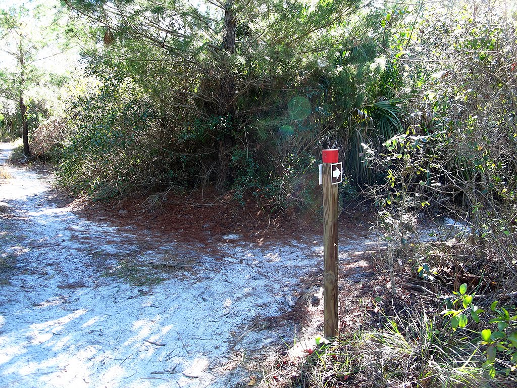 Red Trail Sandy Turn by Tom Choma