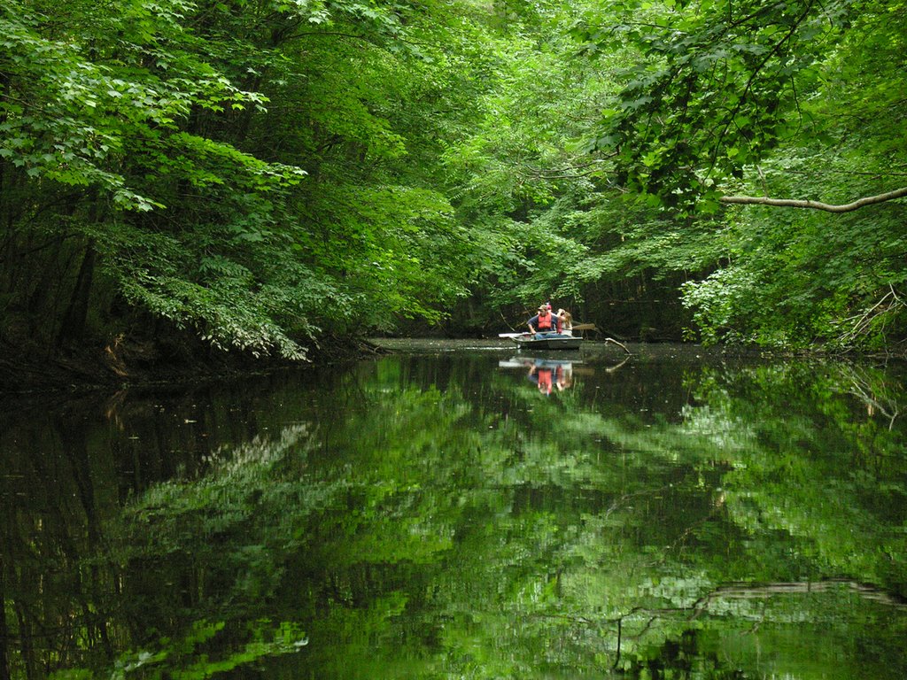 North West River Park [web site] (http://www.cityofchesapeake.net/parks-rec.shtml) by NancieLaing