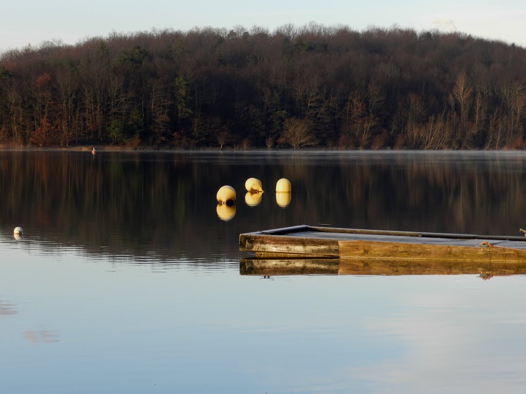 La tranquilité du lac de Montbel by felipeche