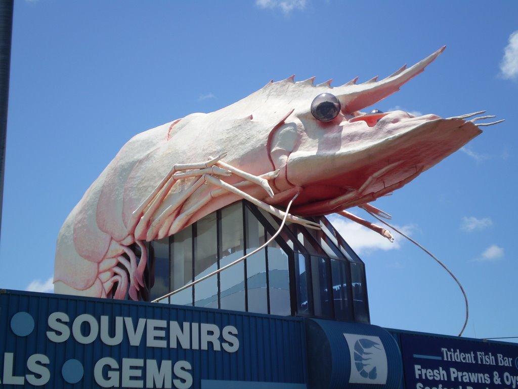 The big Prawn in Ballina by dandanx