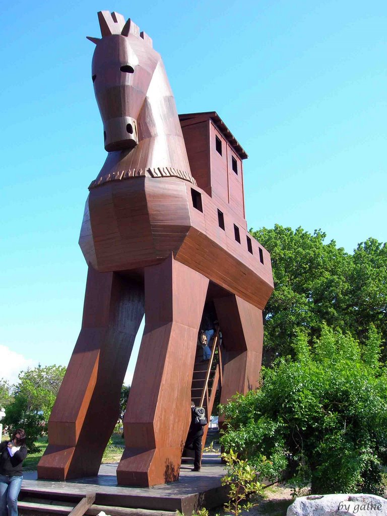 Trojan horse@troy (troia) by galne