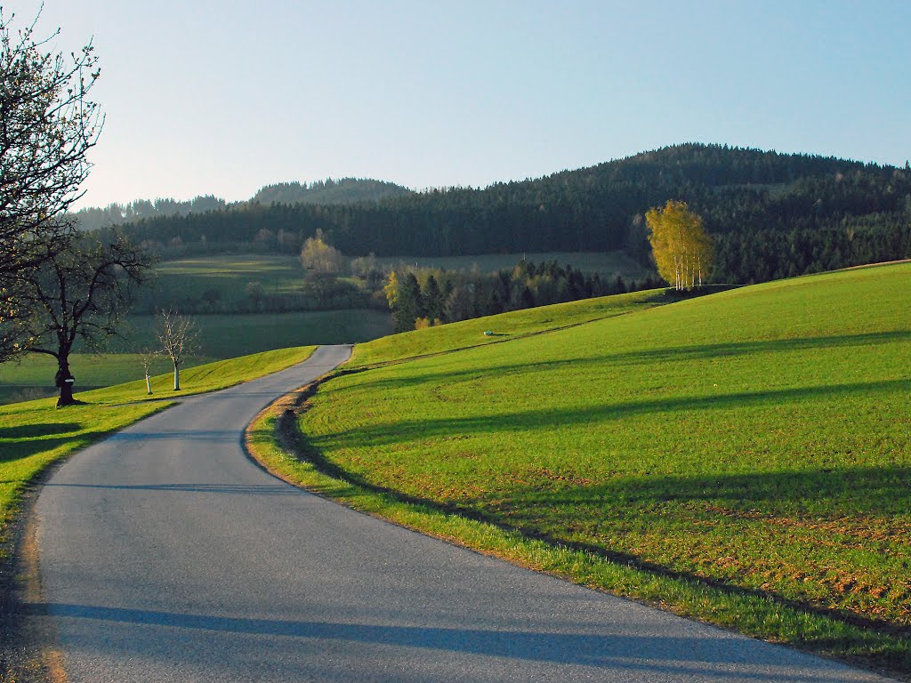 Morning sun in Eastern Styria by tombraidervienna / No Views!