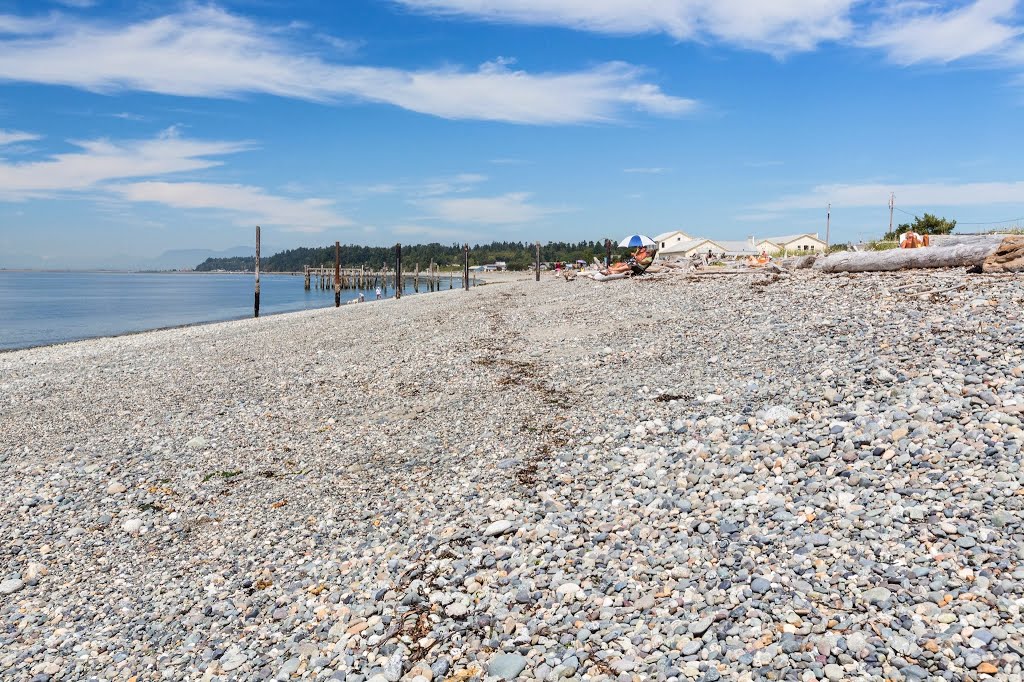 Lighthouse Park - Points Roberts, WA, USA by Sunny Wu