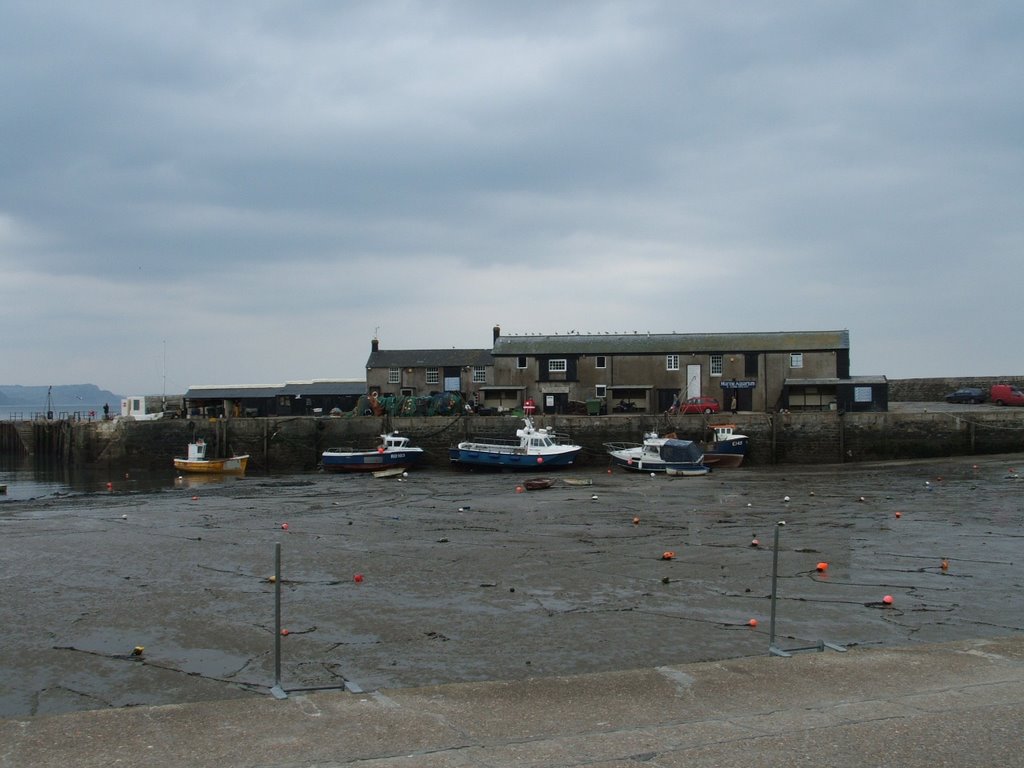 Lyme Regis by ladyaberdovey