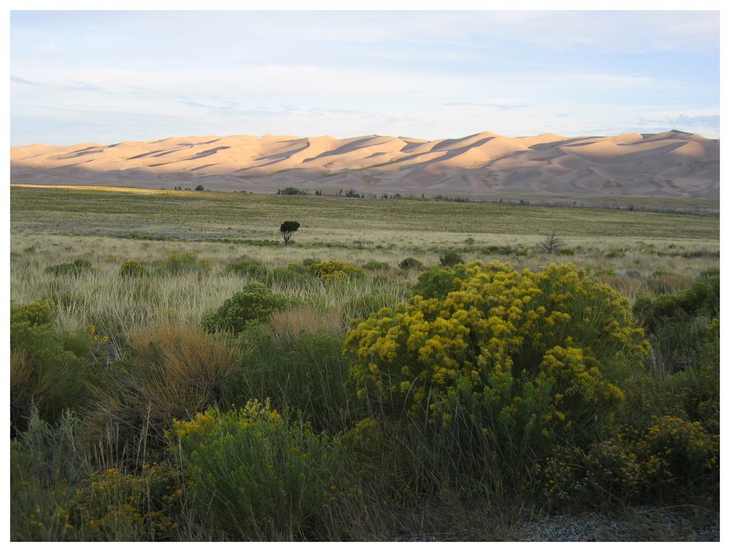 Great sand dunes national park by Andrzej S