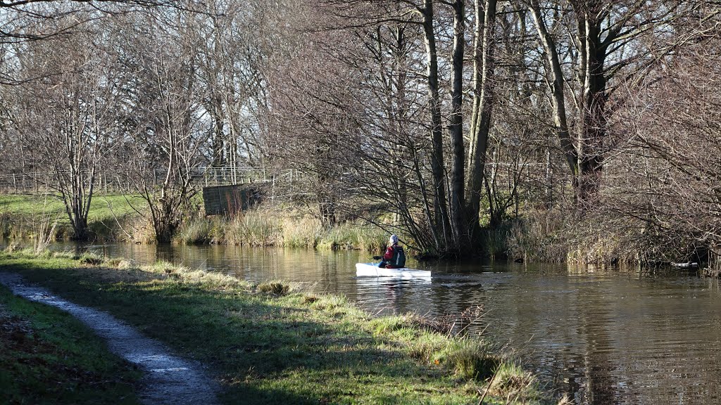 Macclesfield Canal by Dennis Neill