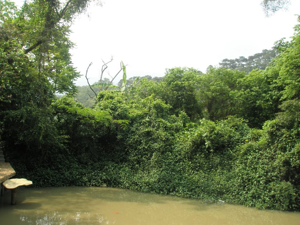 Star Lake of Zhaoqing——仙女湖 by 钟启明