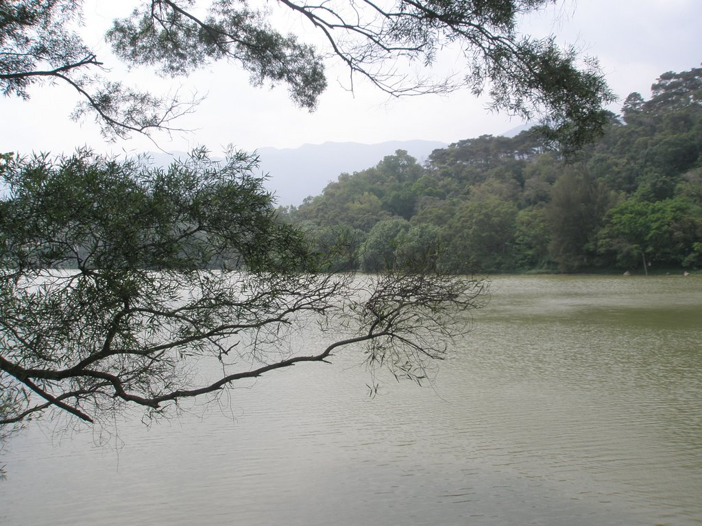 Star Lake of Zhaoqing——仙女湖 by 钟启明