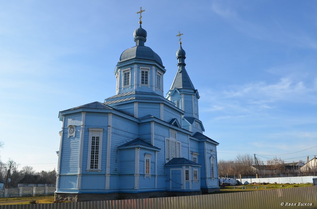 Владиславка. Церковь Рождества Богородицы. 1910 г. / Vladislavka. Church of the Nativity of the Virgin. 1910 by Ivan Bykov / Іван Биков