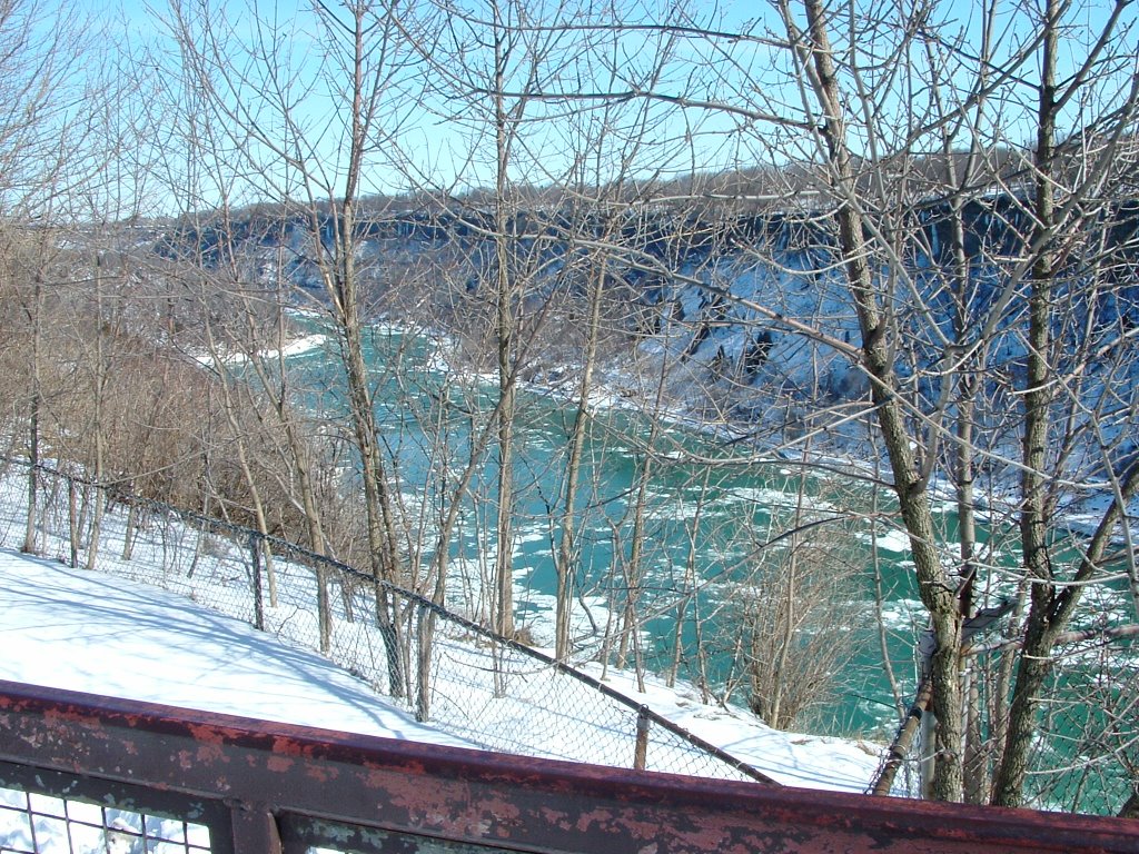 Whirl Pool Niagara River 2 by Steve Barnes