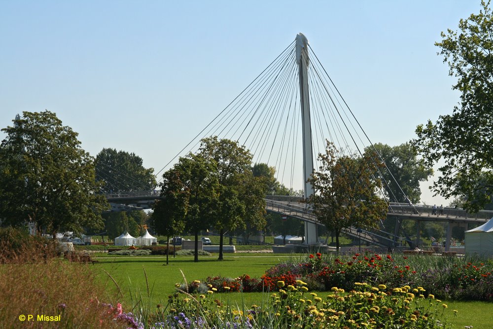 Fußgängerbrücke Kehl by P. Missal