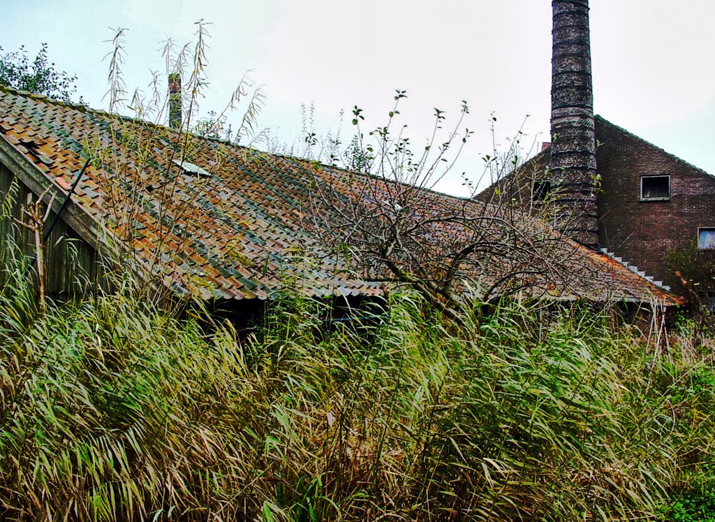 Former Pottery Factory - Nieuw Werklust by Roger Grund