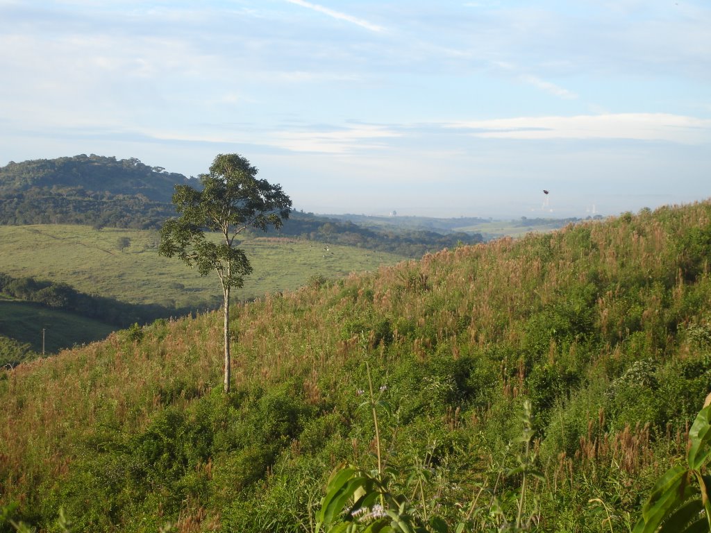 Paisagem - Município de Bom Sucesso by Tullio Padua