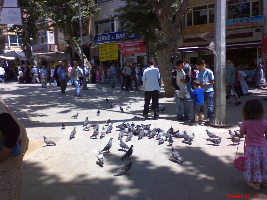 Istanbul, İstanbul, Turkey by Fahrudin Haskovic