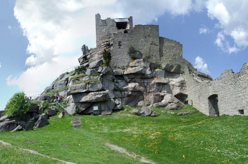 Burgruine Flossenbürg 745m NN by Dieter Beer