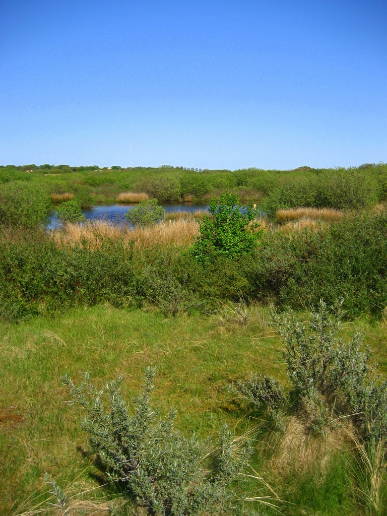 Natuur bij Westerplas by Jelmerr