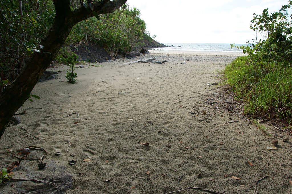 Cape Tribulation QLD by Robert Beckers