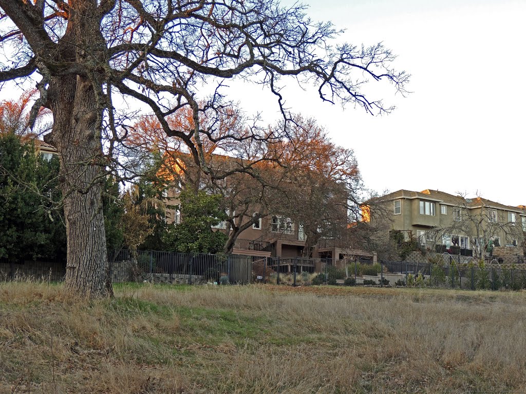 False Ravine, Roseville, CA by Steve Schmorleitz, NationalParkLover.com