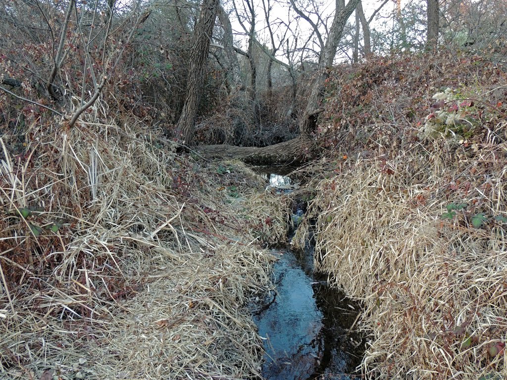 False Ravine Creek, Roseville, CA by Steve Schmorleitz, NationalParkLover.com