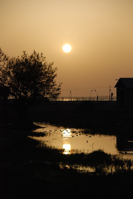 Bandar Torkman Sunset by Arefoddin Ebrahimi