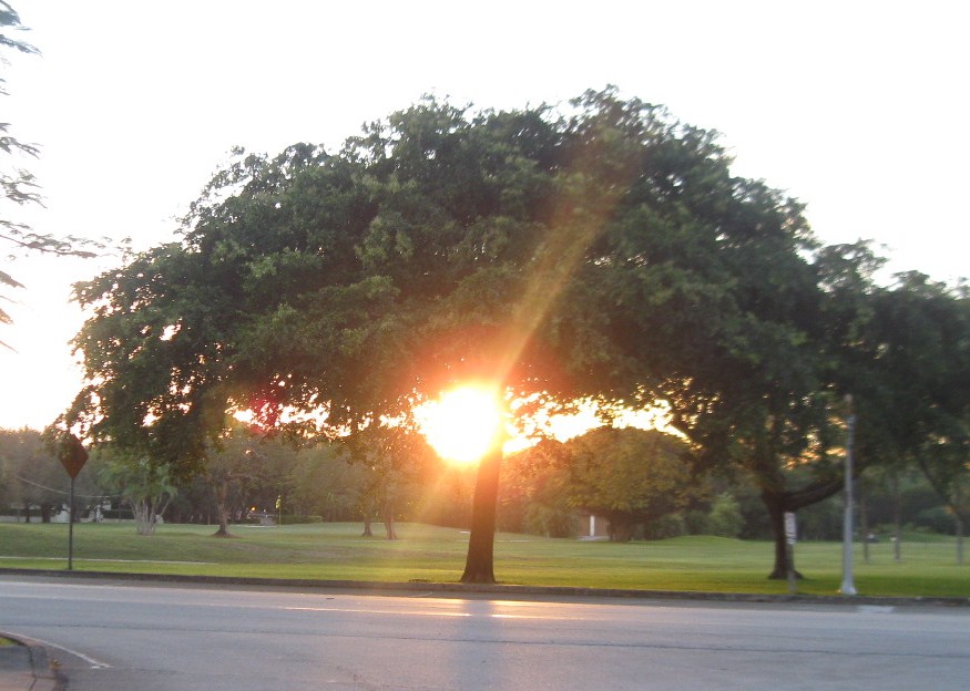 -CORAL GABLES SUNSET- by Ivan Curra