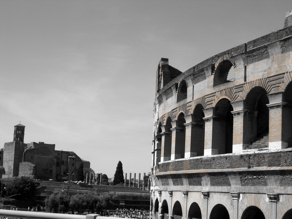 Colosseo by ELMIC