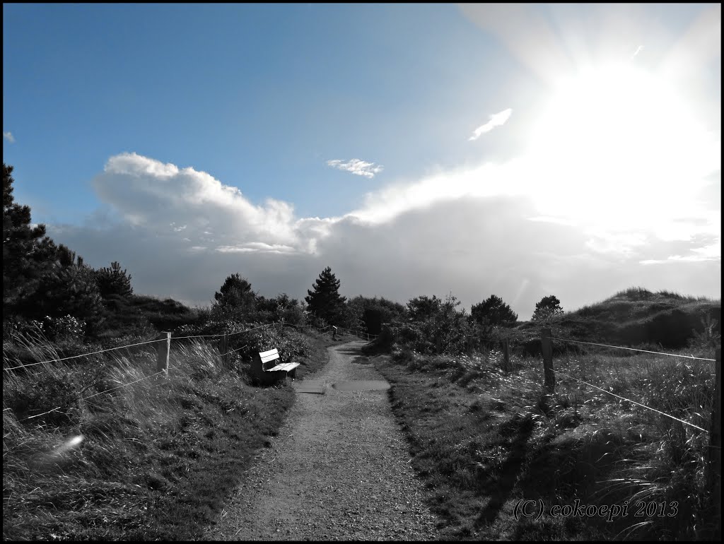 Spaziergang durch die Dünen by co-koe