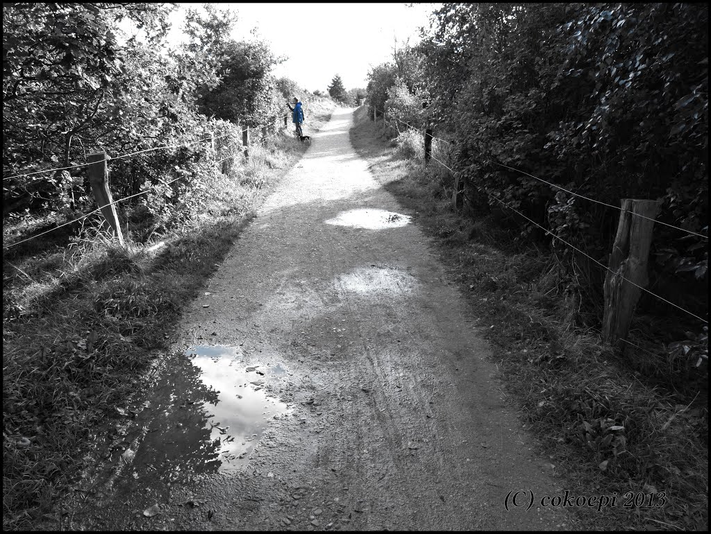 Spaziergang durch die Dünen by co-koe