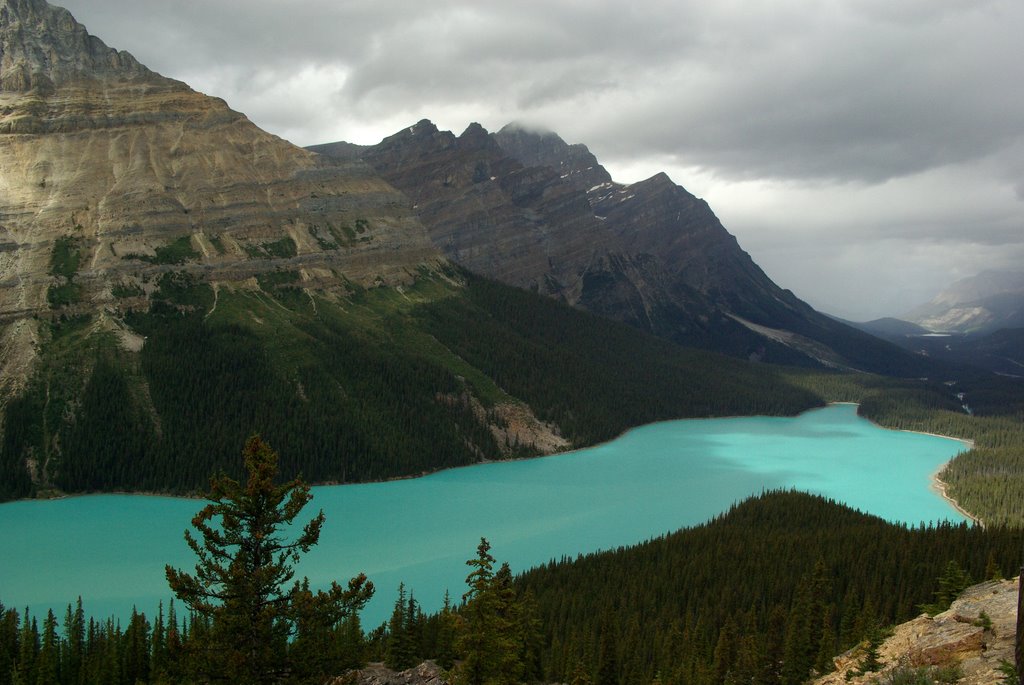 Peyto Lake by riddei