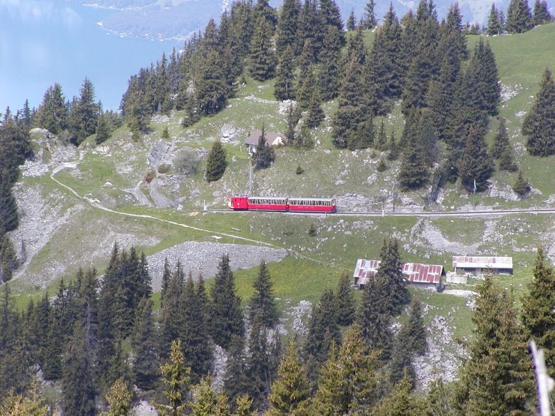 Schynige Platte cog railway by Jakkes