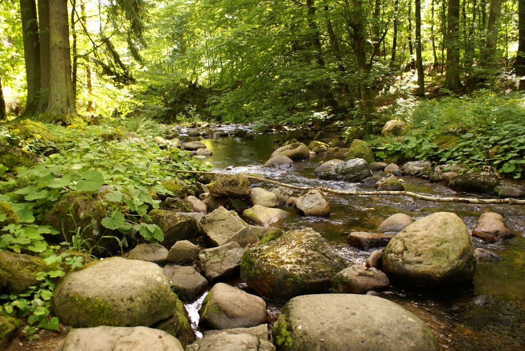 Kalte Bode im Elendstal (Harz) by Altmeister